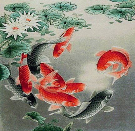 Мои процессы: 9 карпов и другие №66999