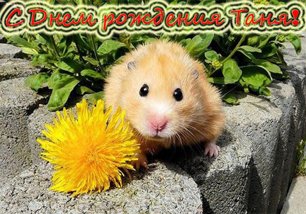 С днем рождения Танюшу Корбут! №68435