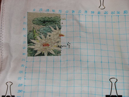 Мои процессы: 9 карпов и другие №70359