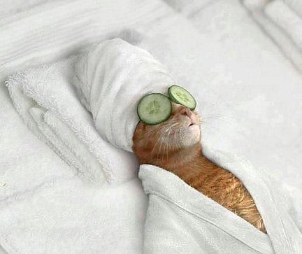 Весёлые картинки №72100