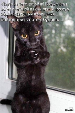 Весёлые картинки №72531