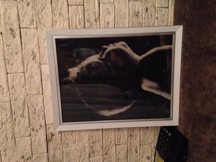 Оформленные работы №72617