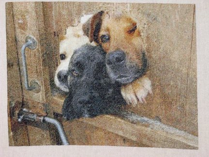 Мой параллельный процесс №72771