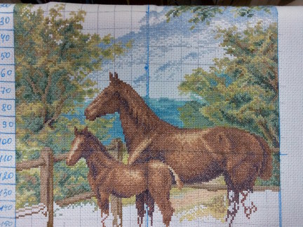 «На выгоне» (Золотое руно), процесс со значением((( №72813