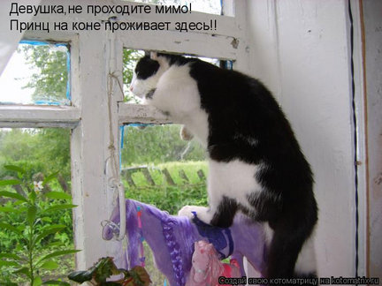 Весёлые картинки №73062