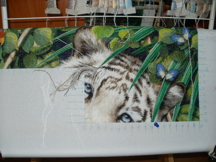 Белые тигры №73365