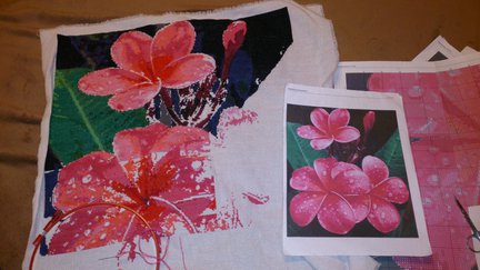 Плюмерия №74018