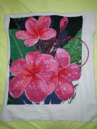 Плюмерия №74022