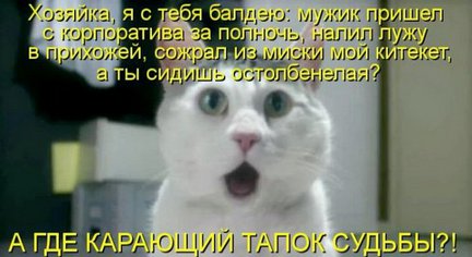 Весёлые картинки №74319