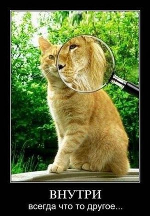 Весёлые картинки №74321