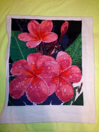 Плюмерия №74537