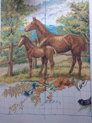 «На выгоне» (Золотое руно), процесс со значением((( №76713