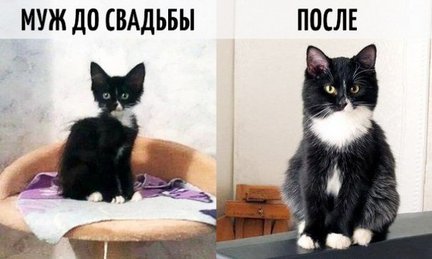 Весёлые картинки №76763