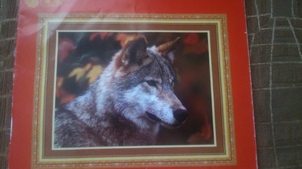 Волчонок №78375