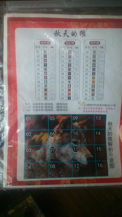 Волчонок №78381