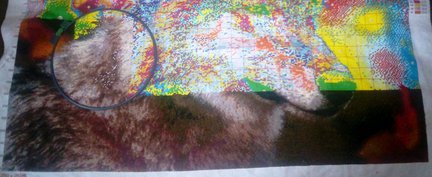 Волчонок №78390