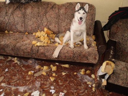 Весёлые картинки №78562