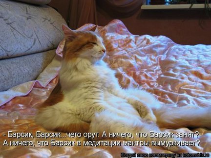 Весёлые картинки №78563