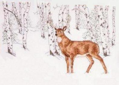 Кладовая схем 2 (животные, пейзажи и цветы) №81571