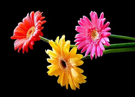 Немножко интриги ))) №81586