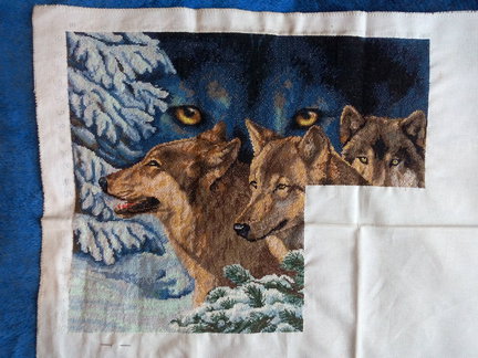 Волчий взгляд №82117