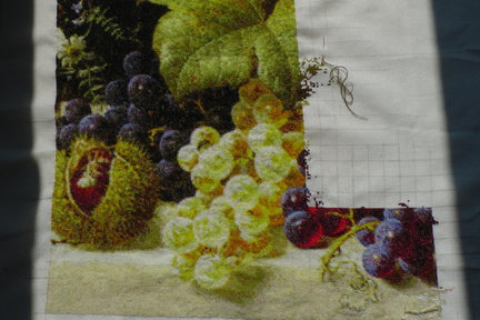 «Виноград» в процессе №82333