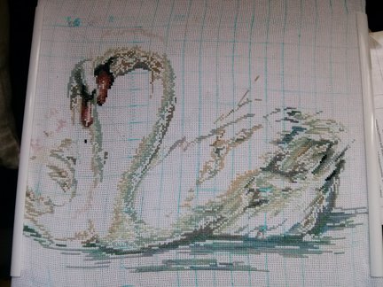 Нежность №82377