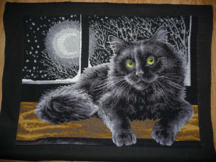 Чёрный кот №85590