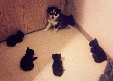 Весёлые картинки №87166