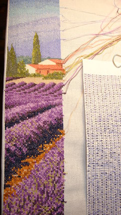 J.Clayton - Lavender Fields №88015