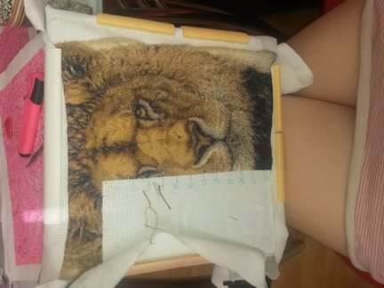 Хищник №88792