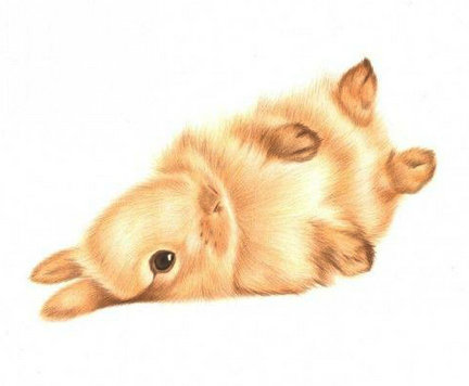 Хочу поделиться! №90371