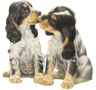 Хочу поделиться! №90495