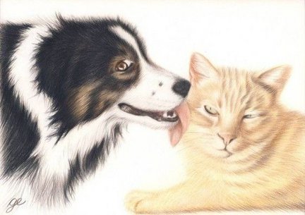 Хочу поделиться! №90496