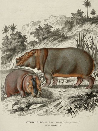 Хочу поделиться! №90568