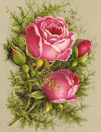 Хочу поделиться! №90934