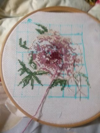 Бискорню Фаби Райли №91503