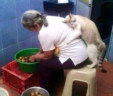 Весёлые картинки №91795