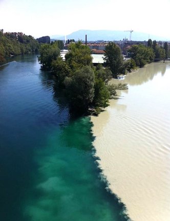 Мир вокруг нас №91865