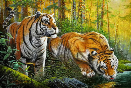 Хочу поделиться! №92297