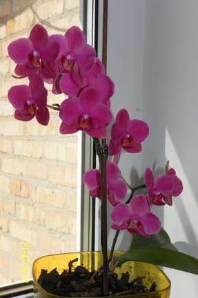 Хочу поделиться! №92350