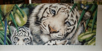 Белые тигры №93076