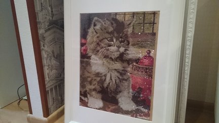 Вислоухий №94040