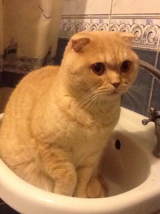 От дебюта и до ГК №94638