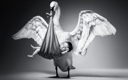 Хорошая ли схема? №95071