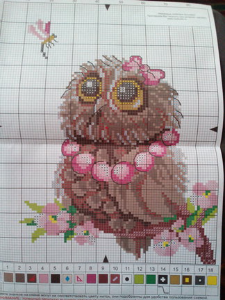 ЗверьЁ моЁ и не только №96809