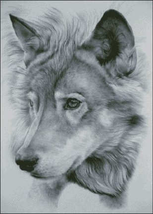 От дебюта и до ГК №98808