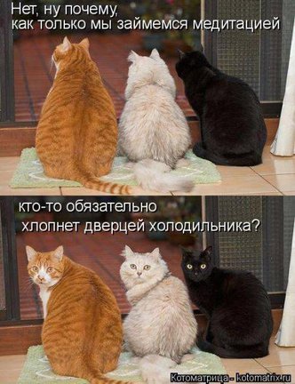 Весёлые картинки №99549