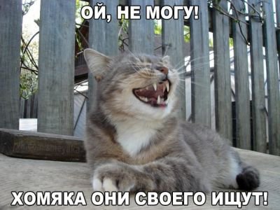 Весёлые картинки №99551