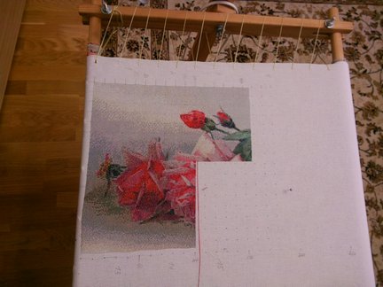 Мои французские розы №99804